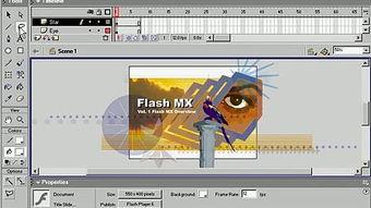 成人flash视频教程,从入门到精通的实战攻略