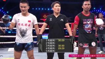 成人拳击入门视频教程,成人拳击入门教程全解析