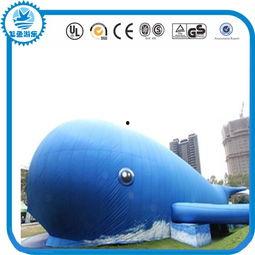 成人鲸鱼玩具视频大全,海洋生物的可爱演绎