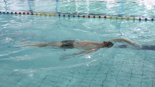 成人仰泳视频教学下载网,跟随成人仰泳视频教学网，轻松入门