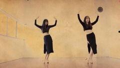 关于动物的舞蹈视频成人,视频捕捉成人生动演绎