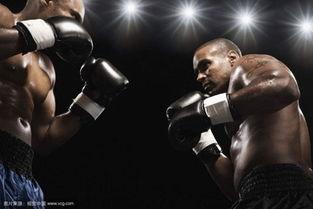成人拳击组合教学视频大全