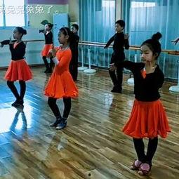 兔子舞蹈视频成人舞,动感舞步演绎时尚魅力