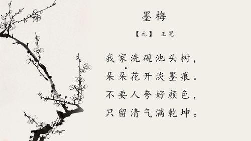 成人墨梅朗诵视频教程