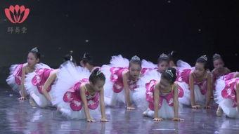 中国舞比赛成人独舞视频,中国舞成人独舞比赛精彩瞬间回顾